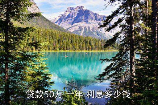 貸款50萬 一年 利息多少錢