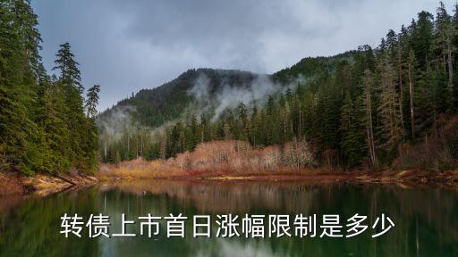 可轉(zhuǎn)債一般會(huì)上漲多少