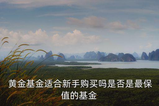  黃金基金適合新手購買嗎是否是最保值的基金