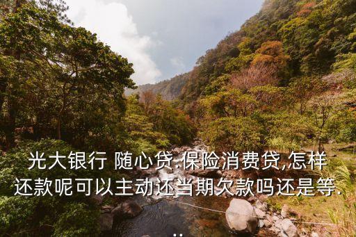 光大銀行 隨心貸.保險消費貸,怎樣還款呢可以主動還當期欠款嗎還是等...