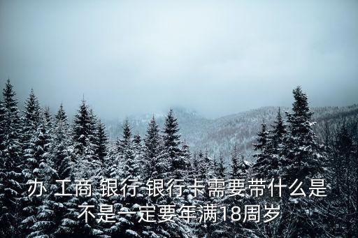 辦 工商 銀行 銀行卡需要帶什么是不是一定要年滿18周歲