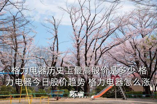  格力電器歷史上最高股價(jià)是多少 格力電器今日股價(jià)趨勢(shì) 格力電器怎么漲不...
