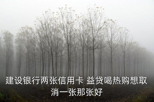 益貸卡白金卡額度多少,標(biāo)準(zhǔn)卡升級(jí)白金卡額度是一樣的嗎