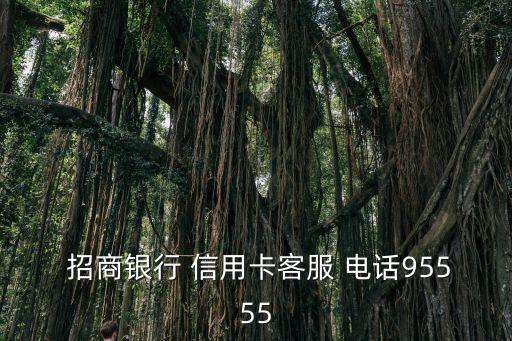  招商銀行 信用卡客服 電話95555