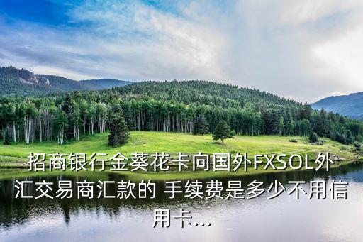 招商銀行金葵花卡向國(guó)外FXSOL外匯交易商匯款的 手續(xù)費(fèi)是多少不用信用卡...