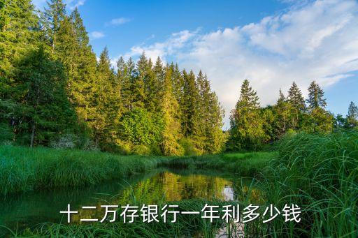  十二萬存銀行一年利多少錢