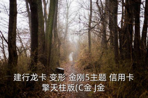 建行龍卡 變形 金剛5主題 信用卡擎天柱版(C金 J金