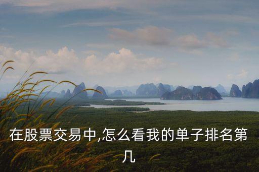 在股票交易中,怎么看我的單子排名第幾
