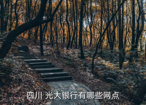 成都光大銀行高新支行電話多少錢,光大銀行高新支行地址