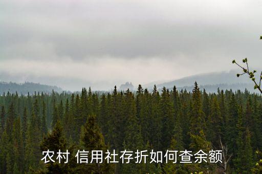 農(nóng)村信用合作社還有多少錢怎么查