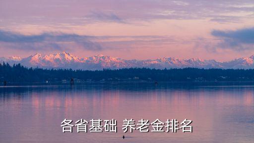 各省基礎(chǔ) 養(yǎng)老金排名