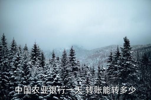 中國農(nóng)業(yè)銀行一天 轉(zhuǎn)賬能轉(zhuǎn)多少