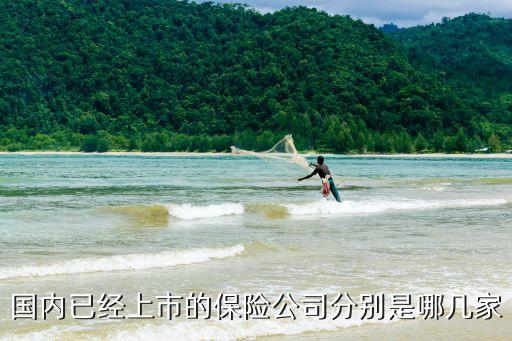 中國平安凈資產(chǎn)是多少