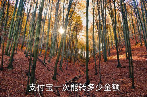 支付寶可以轉賬多少錢,轉賬成功了怎么把錢弄回來