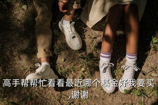 高手幫幫忙看看最近哪個基金好我要買,謝謝