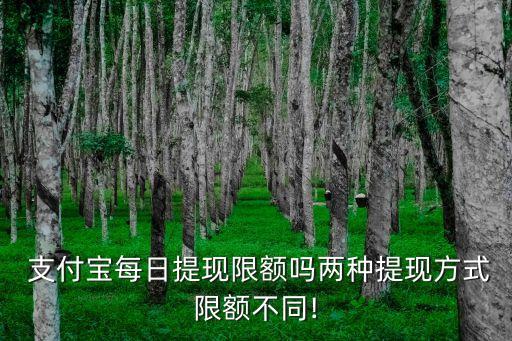 支付寶提現(xiàn)有額度多少