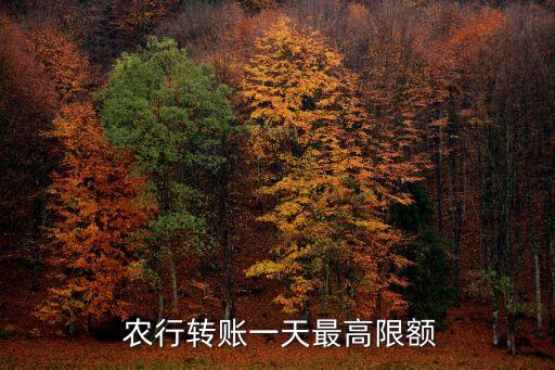  農(nóng)行轉(zhuǎn)賬一天最高限額