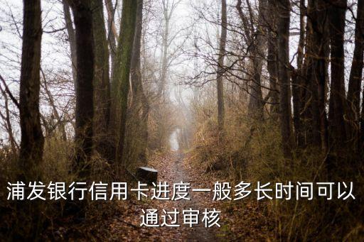 浦發(fā)銀行信用卡進度一般多長時間可以通過審核