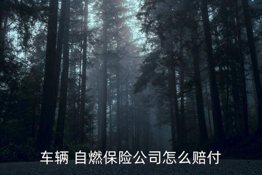 自燃險(xiǎn)能賠多少,加裝導(dǎo)航自燃險(xiǎn)賠嗎