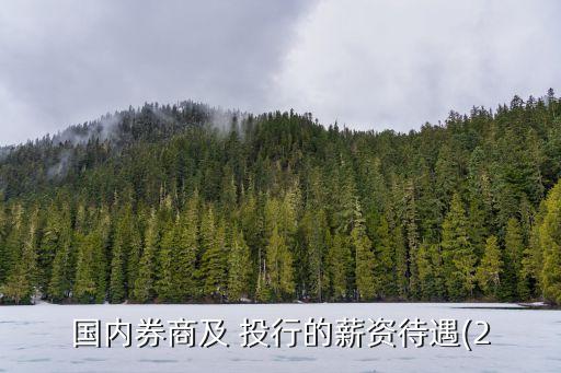 國(guó)內(nèi)券商及 投行的薪資待遇(2