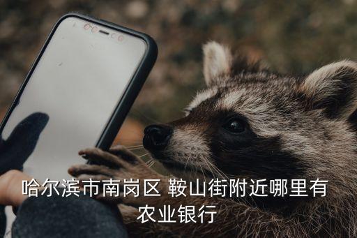 哈爾濱市南崗區(qū) 鞍山街附近哪里有 農(nóng)業(yè)銀行