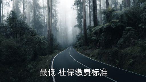  最低 社保繳費(fèi)標(biāo)準(zhǔn)