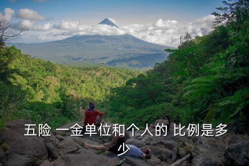  五險 一金單位和個人的 比例是多少