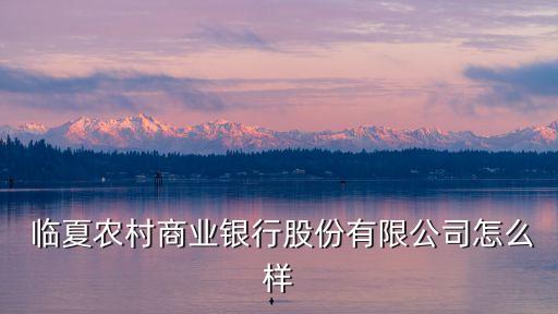  臨夏農村商業(yè)銀行股份有限公司怎么樣