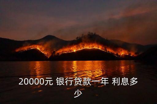 銀行借兩萬利息是多少錢,向銀行借兩萬利息多少