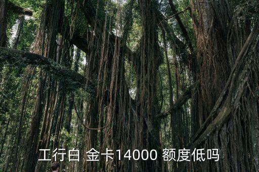 工銀白金卡額度多少錢,工銀mini愛購(gòu)白金卡額度