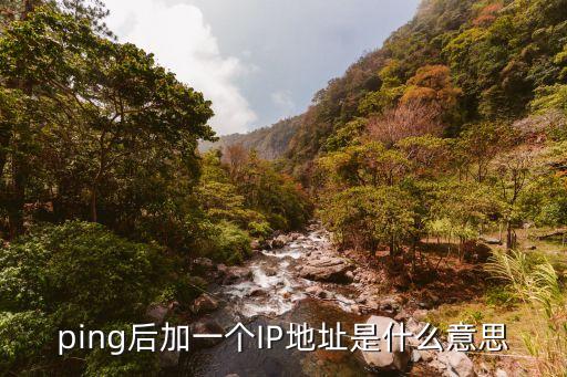 ping后加一個IP地址是什么意思