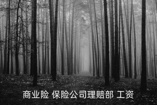 商業(yè)險 保險公司理賠部 工資