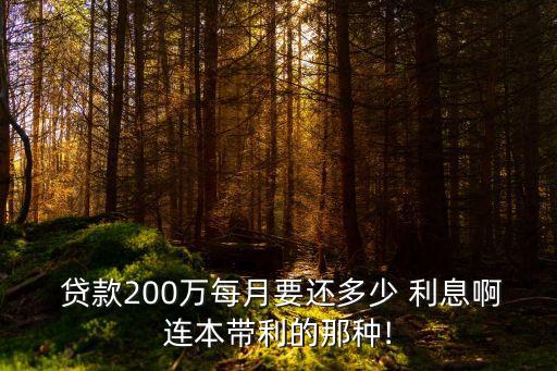 貸款二百萬利息是多少,二百萬貸款二十年4.1利息