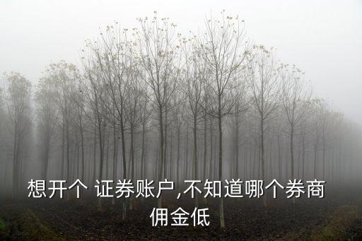 想開個(gè) 證券賬戶,不知道哪個(gè)券商 傭金低