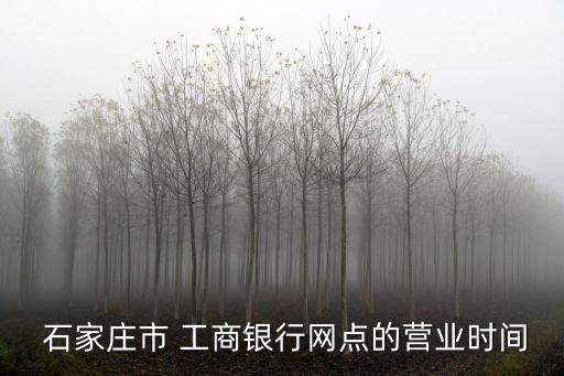  石家莊市 工商銀行網(wǎng)點(diǎn)的營業(yè)時間