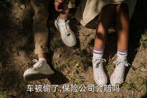 車被偷了,保險(xiǎn)公司會(huì)賠嗎