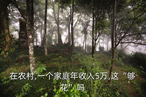 在農(nóng)村,一個家庭年收入5萬,這“夠花”嗎