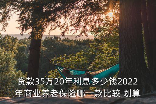 貸款35萬(wàn)20年利息多少錢(qián)2022年商業(yè)養(yǎng)老保險(xiǎn)哪一款比較 劃算