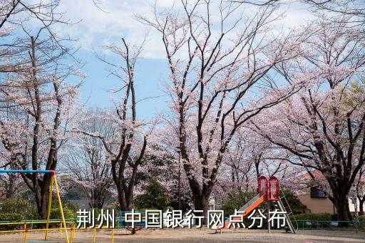 荊州 中國銀行網(wǎng)點(diǎn)分布