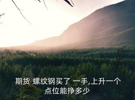  期貨 螺紋鋼買了 一手,上升一個點位能掙多少