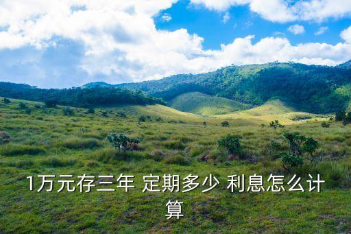 一萬存3年定期利息多少錢,一萬美元存三年定期利息