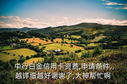  中行白金信用卡資費(fèi),申請(qǐng)條件,,越詳細(xì)越好謝謝了,大神幫忙啊