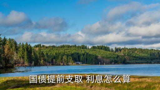 憑證式債券利息是多少,債券利息稅前扣除憑證