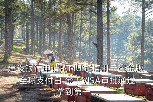 建設(shè)銀行申請的MUSE信用卡鎏金版 全球支付白 金卡VISA審批通過,拿到第一...