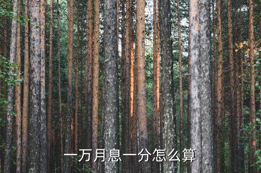 一萬元1分利一年多少利息是多少,天天利一萬元一年多少錢