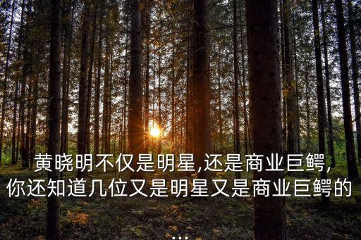 黃曉明有多少美元的資產(chǎn)