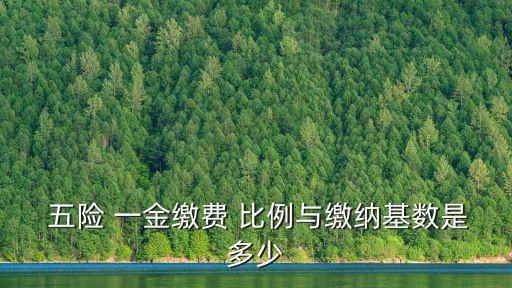 全國五險一金比例是多少錢,公司和個人五險一金比例是多少
