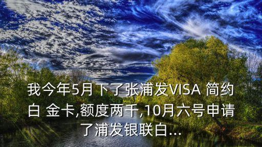 visa白金卡簡(jiǎn)約版下卡多少寄到