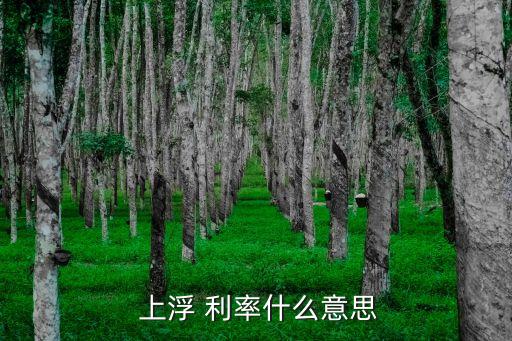 貸款利率上浮10%是多少