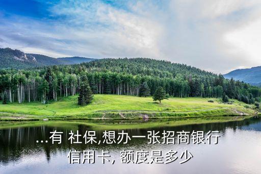 ...有 社保,想辦一張招商銀行 信用卡, 額度是多少